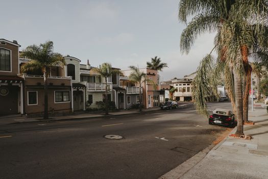 Quaint residential street in California lined with palm trees and picturesque houses.