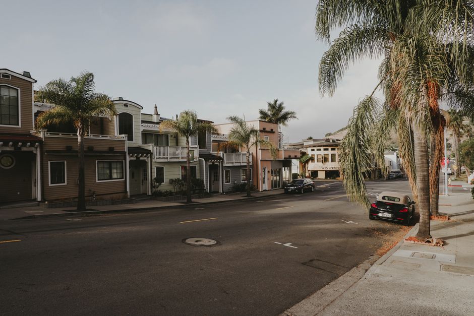 Quaint residential street in California lined with palm trees and picturesque houses.