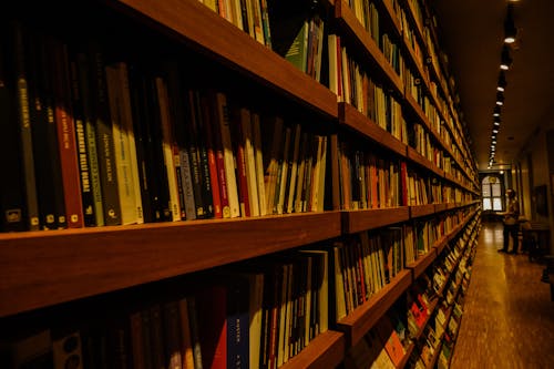 Kostnadsfri bild av bibliotek, böcker, trä hyllor