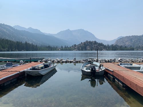 Brown Wooden Docks on Lake