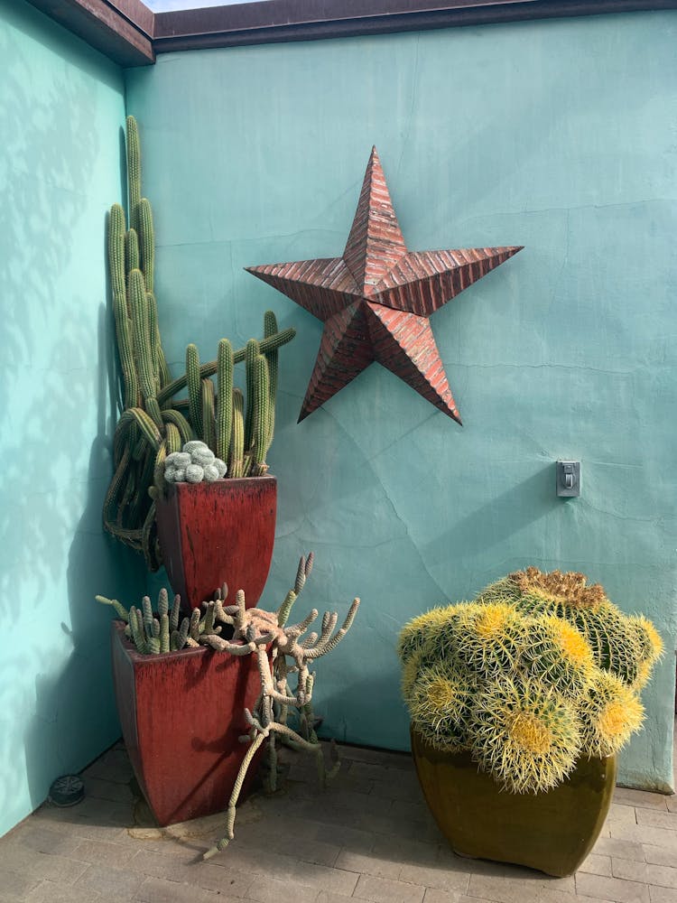 A Red Star Decoration Near A Set Of Cactus On A Pot