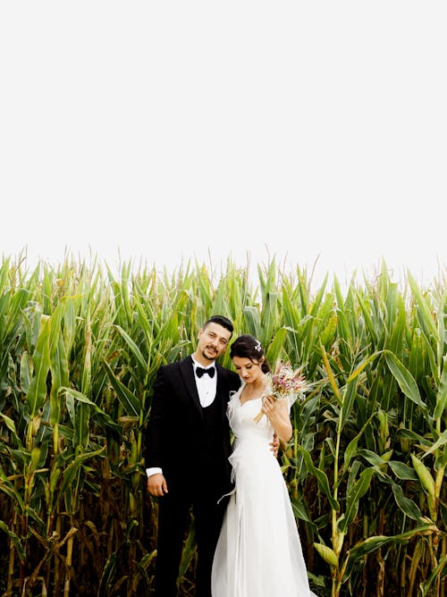 Gratis stockfoto met huwelijksfotografie, jurk, kerel