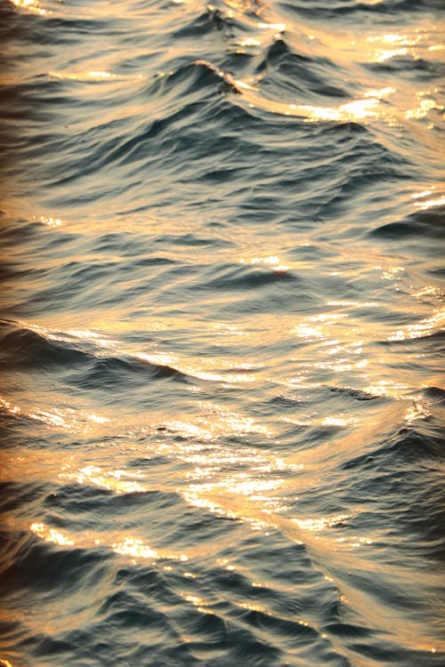 Foto stok gratis air, gelombang, laut