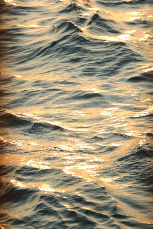 Free Close-up view of ocean waves with golden sunlight reflecting on the water's surface. Stock Photo