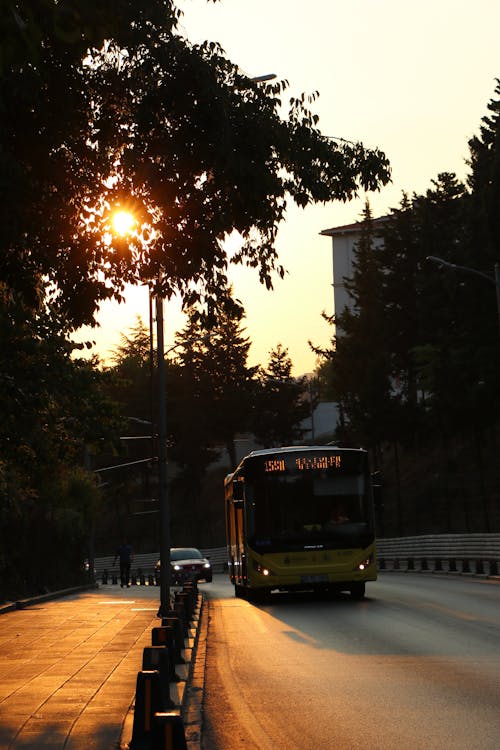 altın saat, gün batımı, Motorlu Taşıtlar içeren Ücretsiz stok fotoğraf