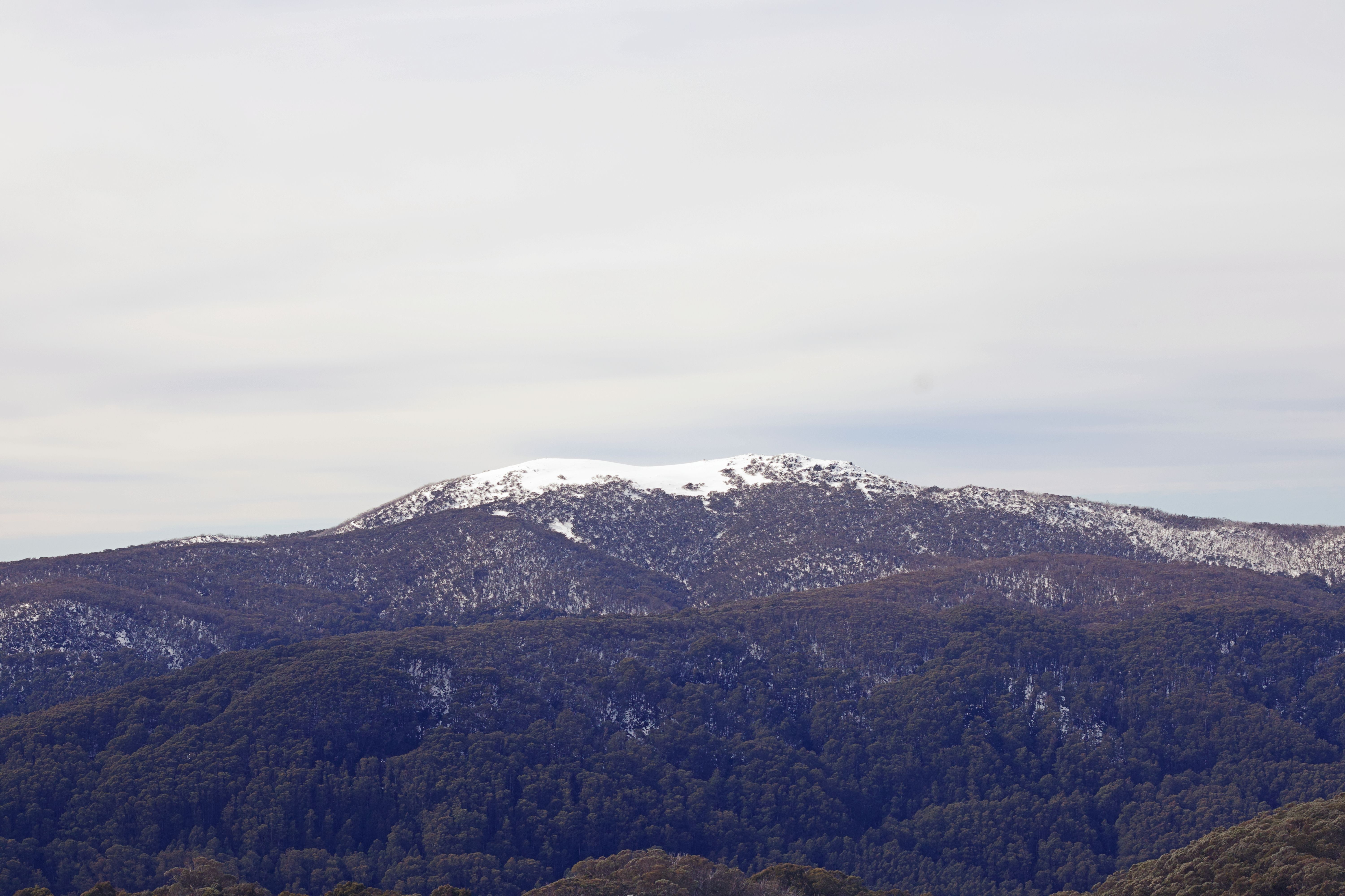 Panoramic view of snow-capped Mount Buller, Victoria, Australia on a winter day.