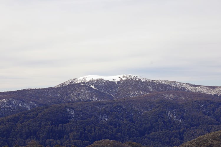 Mount  Buller View From High Ground