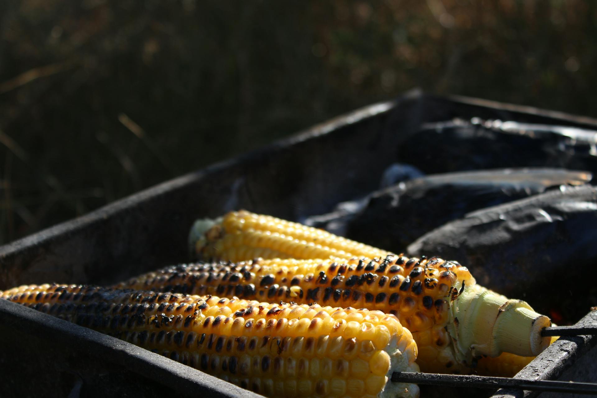 Grilled Corn on Black Charcoal Grill