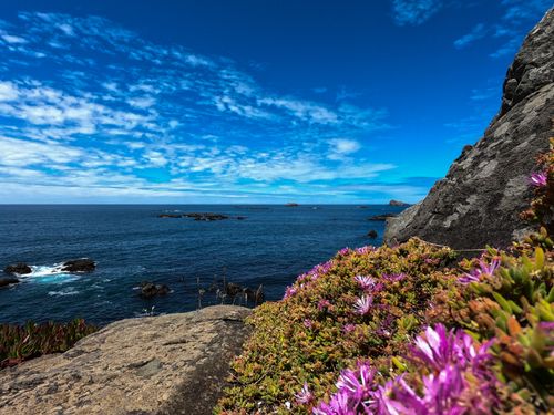 Free A stunning seascape featuring rocky shores and vibrant flowers under a bright blue sky. Stock Photo