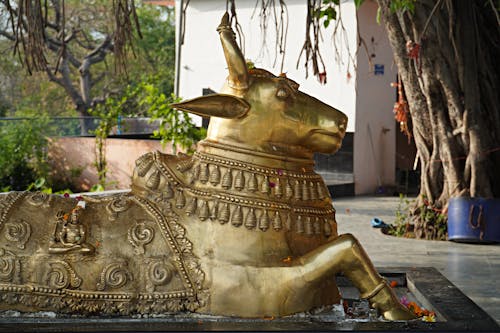 Základová fotografie zdarma na téma chrám veerbhadra, mosazný býk, náboženství
