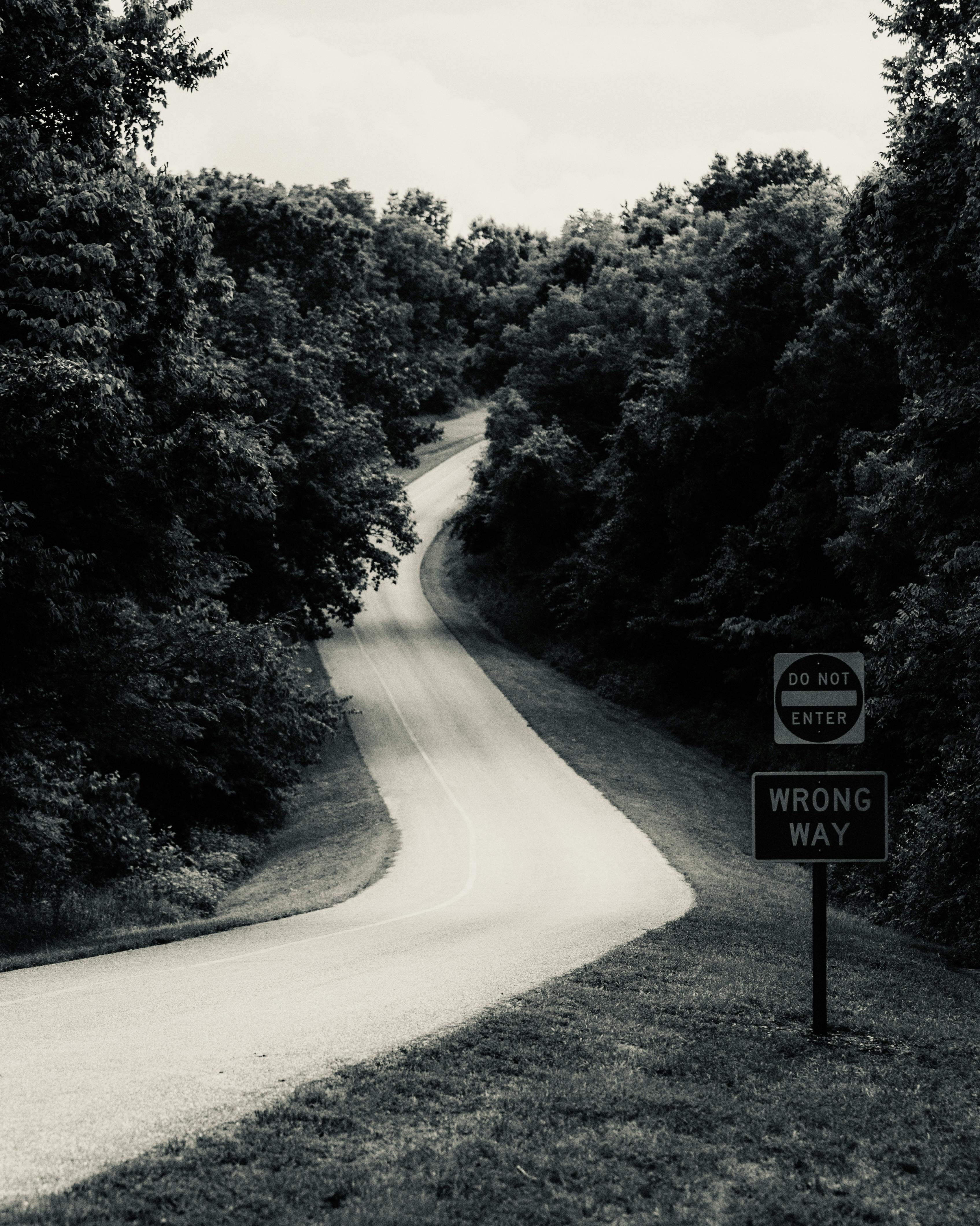 A winding forest road with a prominent 'Do Not Enter' sign, captured in striking black and white.