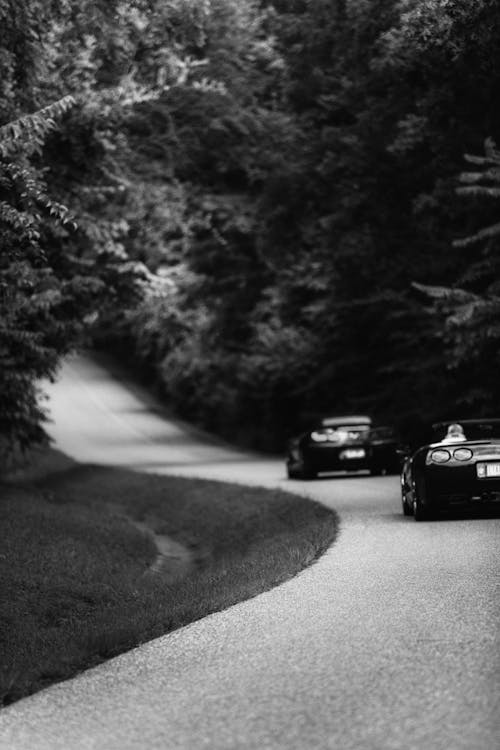 Grayscale Photo of Black Cars on the Road