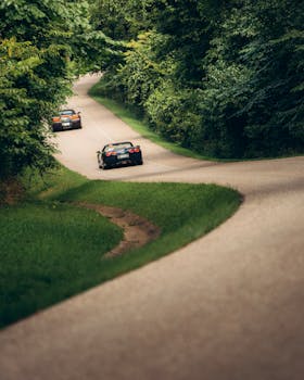 Sleek sportscars driving on a curvy, tree-lined countryside road.