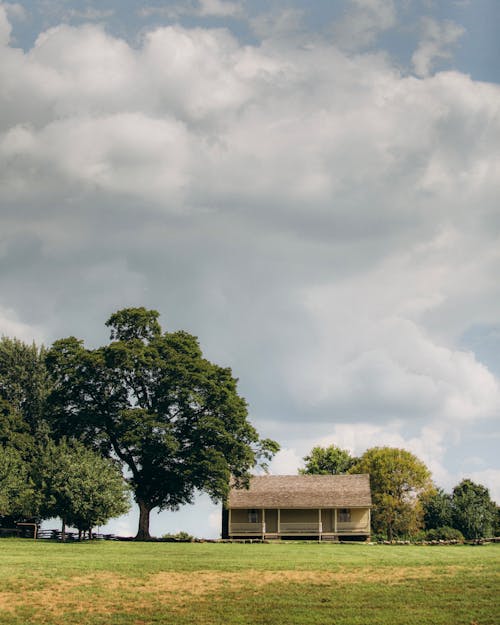 Gratis lagerfoto af bondegård, græsmark, grønne træer