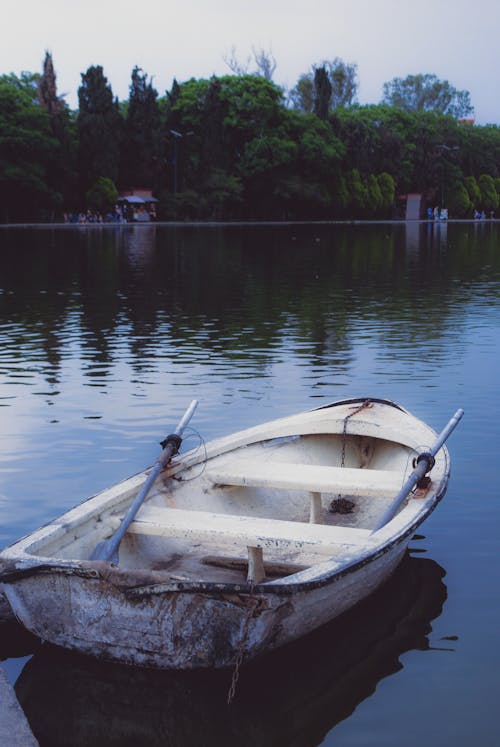 Δωρεάν στοκ φωτογραφιών με βάρκα, λίμνη, μεταφορά νερού