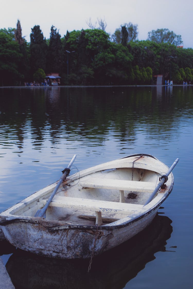 Boat On The Lake