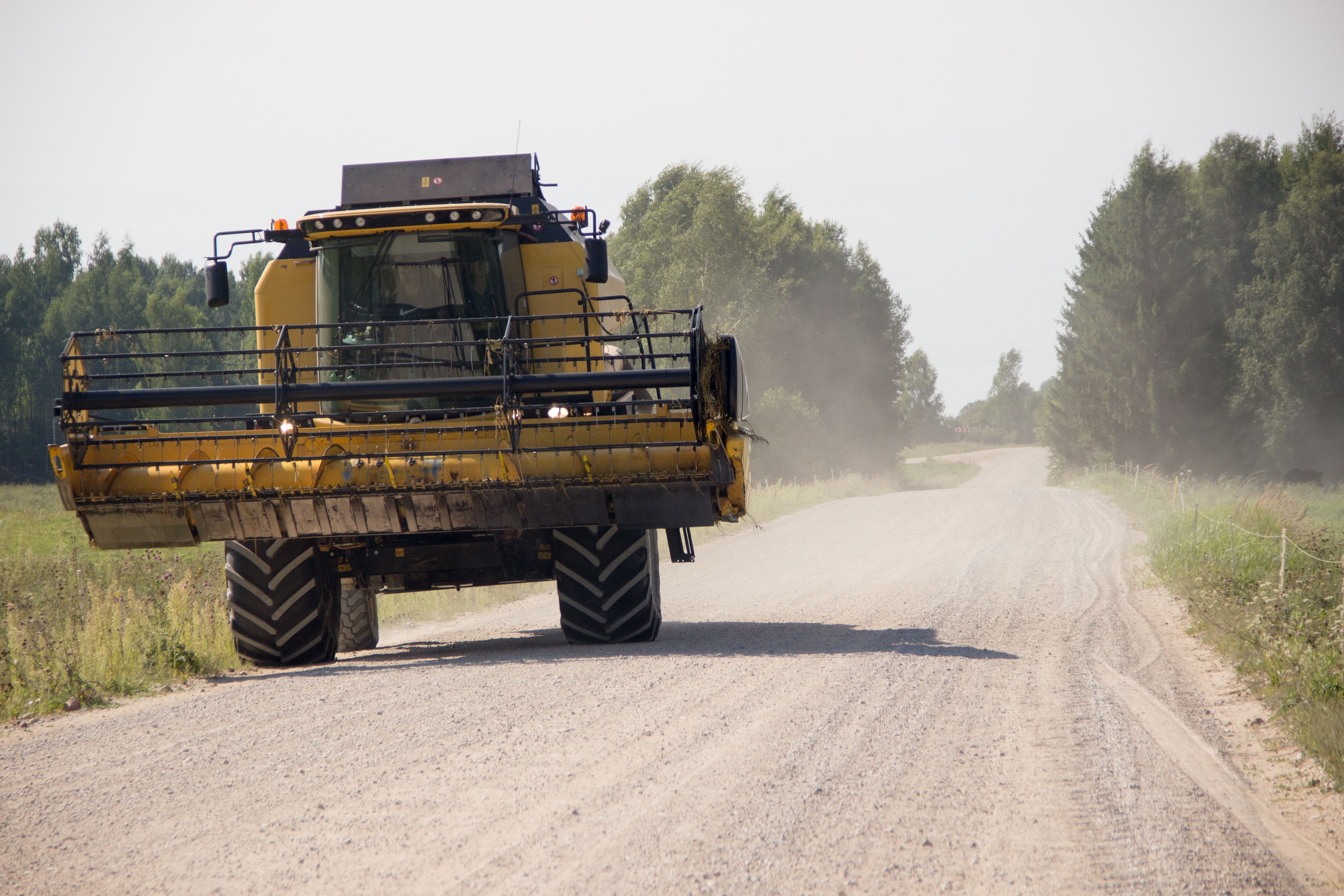 Agricultural Price Decline Impacts Latvian Economy