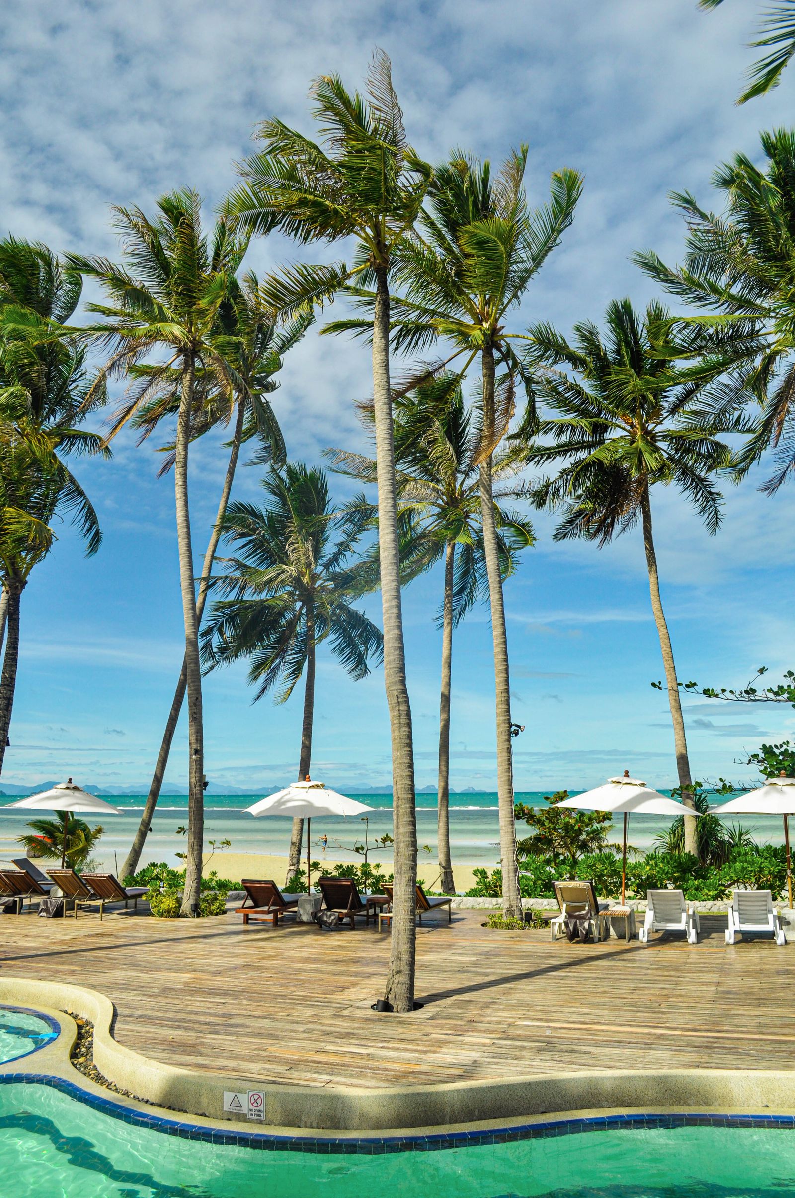 Beachfront view over palm trees toward the Gulf of Thailand from Koh Samui