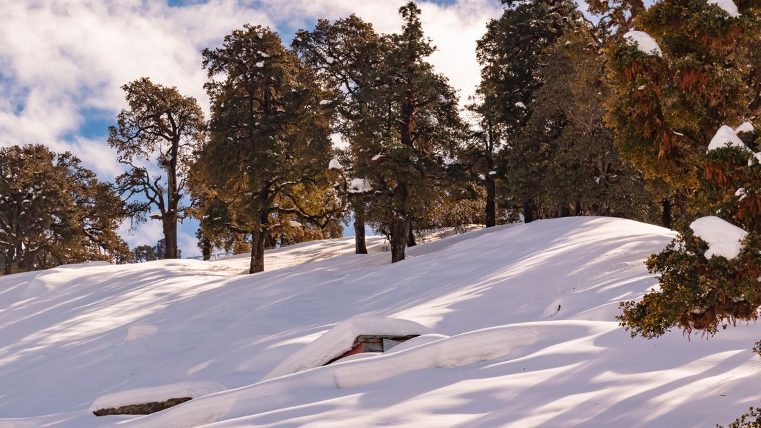 Uttarakhand Couple Tour Package | Romantic Escape 6 Days / 5 Nights — Uttarakhand — photo 7