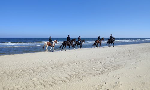 People Horseback Riding on a Beach 