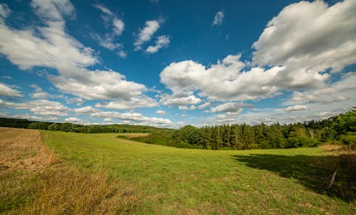 A Green Grass Field with Trees Under the Blue Sky and White Clouds