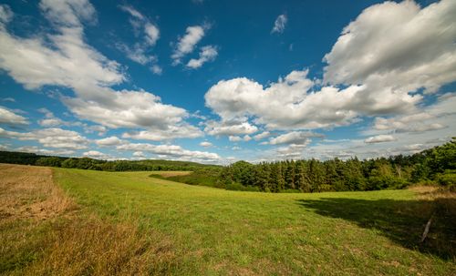 Free Wide-angle view of grassy countryside with blue sky and white clouds. Stock Photo