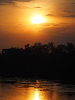 Beautiful sunset with serene river reflection and silhouetted trees in Jinja, Uganda.