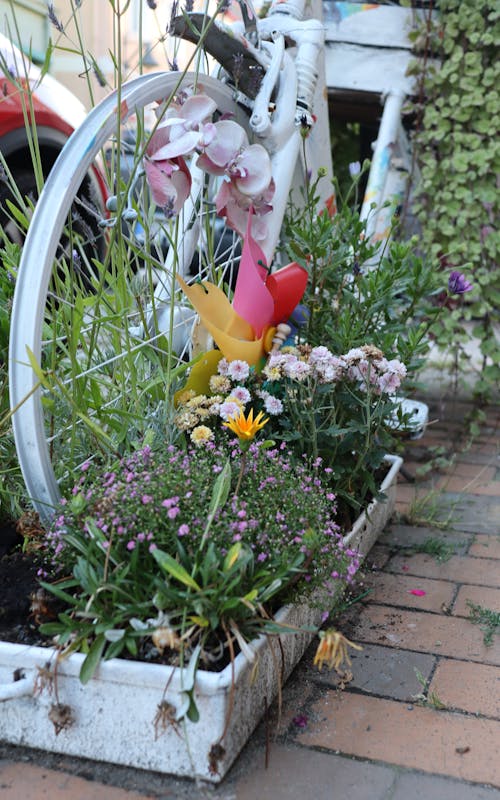 Kostenloses Stock Foto zu blumen, blumenbeet, fahrrad