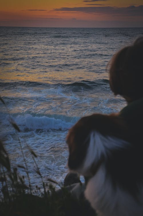 Person with a Dog Sitting on a Shore at Sunset 
