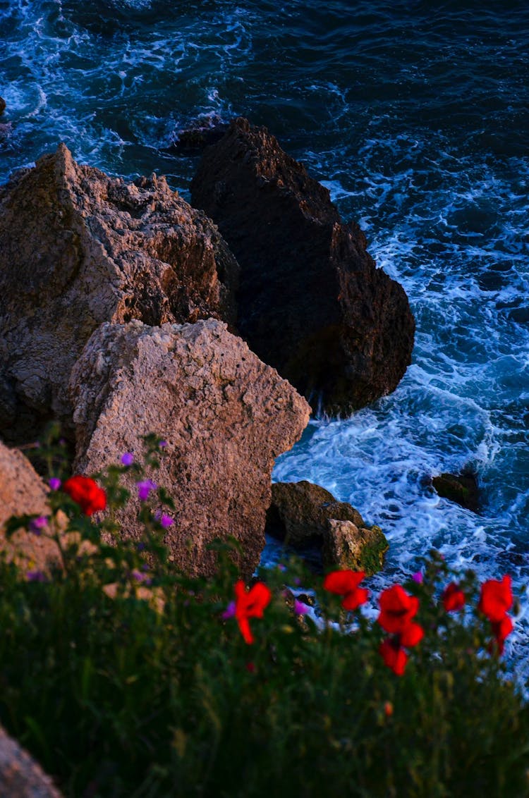 Waves Crashing On Coast