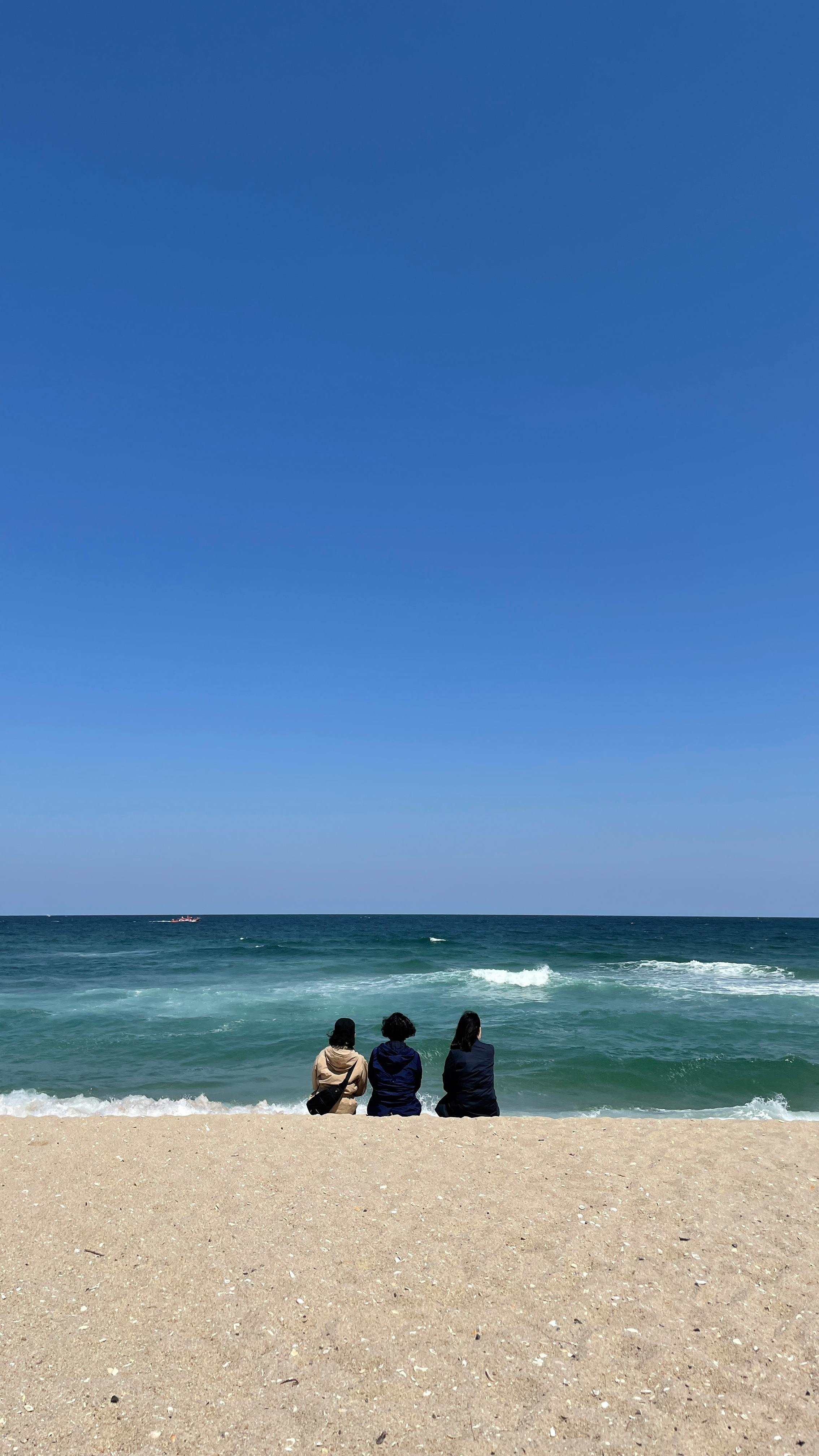강원도 영월의 평화로운 자연경관