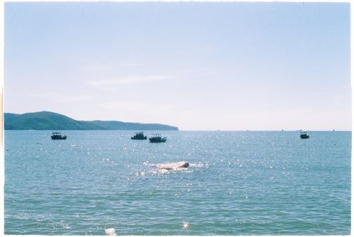 Free A tranquil ocean scene with boats gliding on shimmering water. Stock Photo