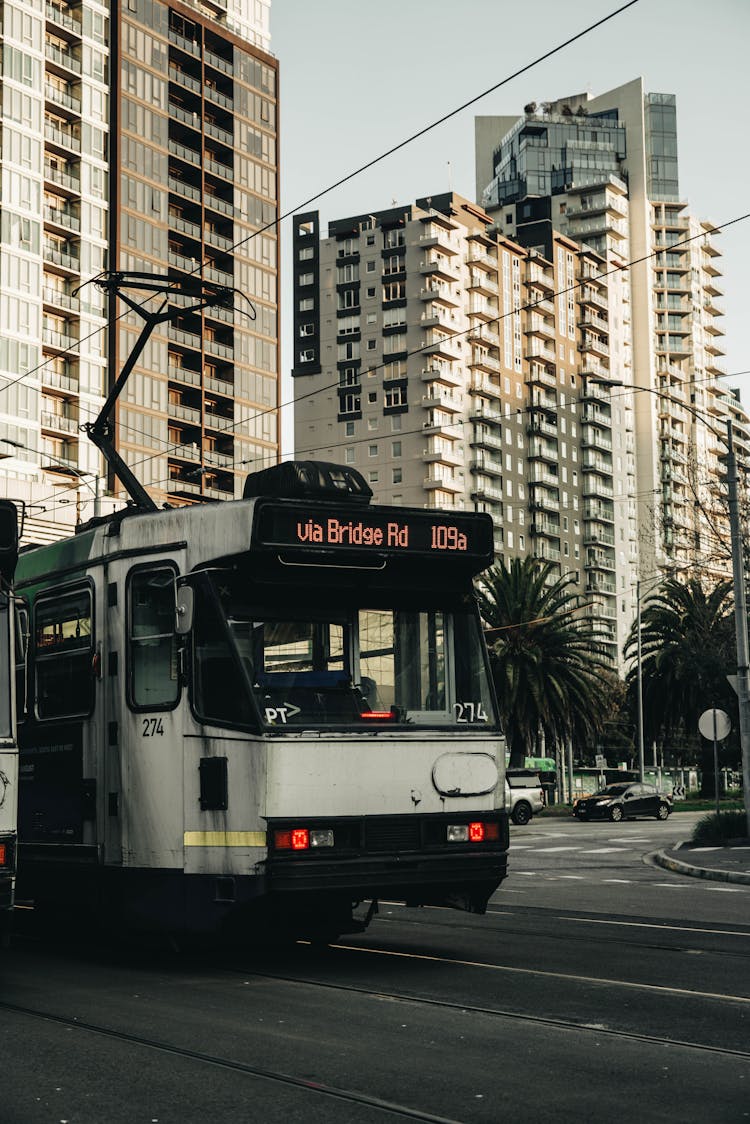 Public Transport Tramway On Downtown In Melbourne