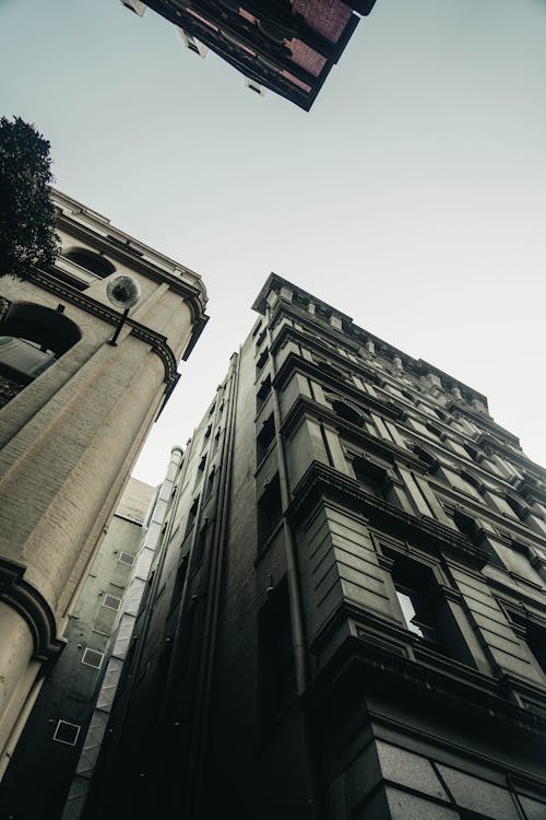 Low Angle Shot of Tall Buildings