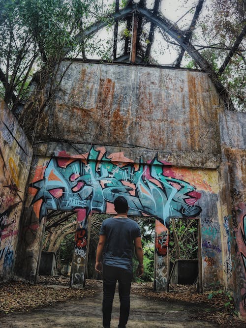 Základová fotografie zdarma na téma bali, graffiti, malování