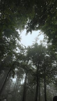Image by Tacettin Çolak