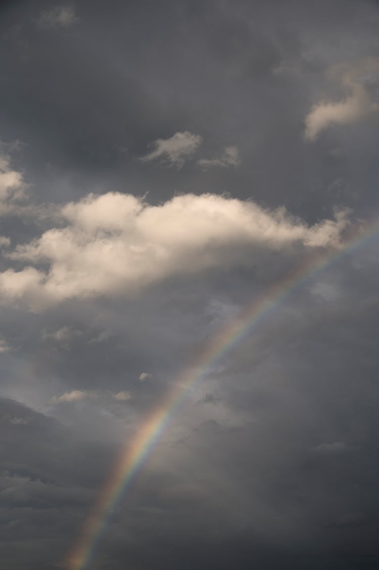 Rainbow In The Sky 