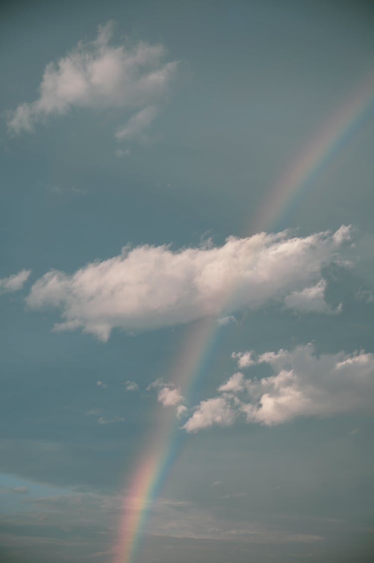 A Rainbow In The Sky