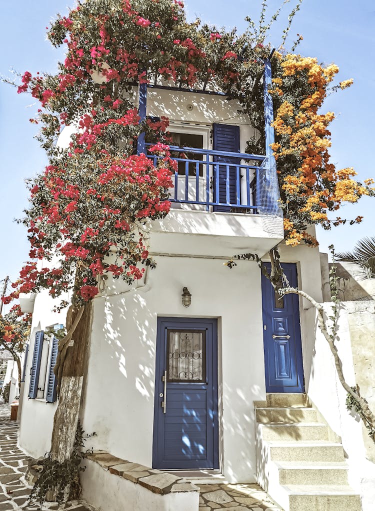 A White And Blue House With Plants On The Street