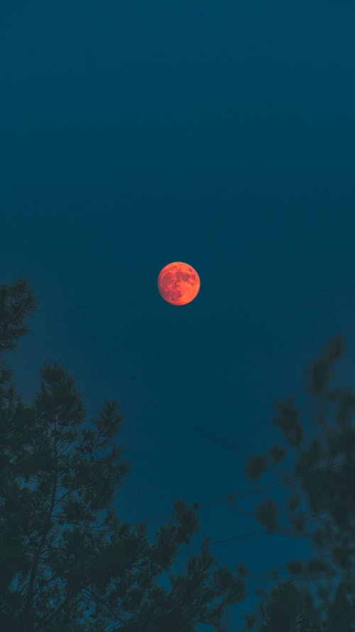 ฟรี คลังภาพถ่ายฟรี ของ ถ่ายภาพพระจันทร์, พระจันทร์เลือด, มืด คลังภาพถ่าย