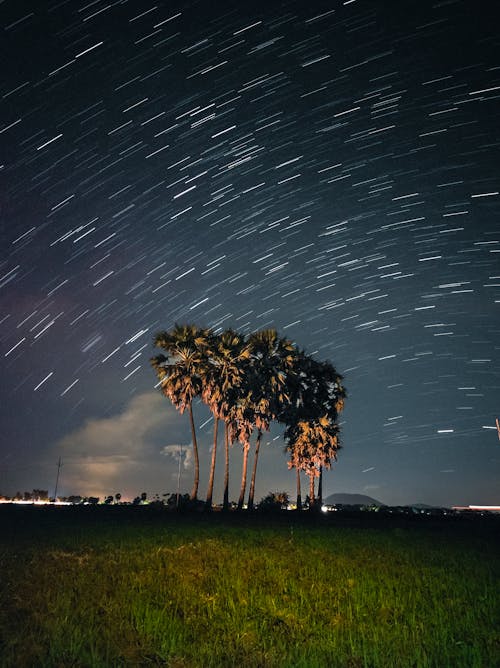 Free Long Exposure Photography of a Starry Night Stock Photo