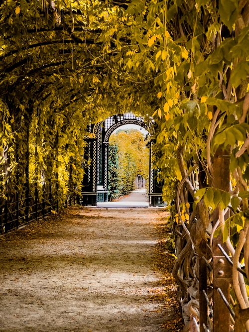 Free Explore the enchanting archway adorned with lush greenery in Vienna's Schönbrunn Palace Gardens. Stock Photo