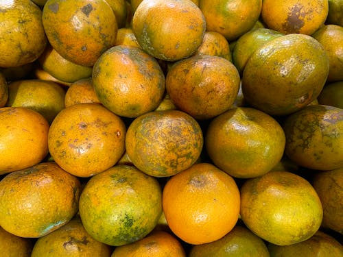 Free Mandarin oranges Stock Photo