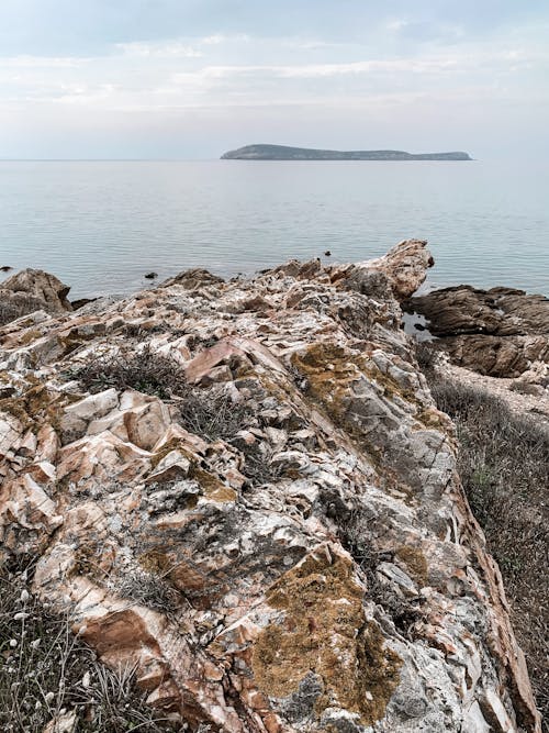 바다, 바위, 수직 쐈어의 무료 스톡 사진
