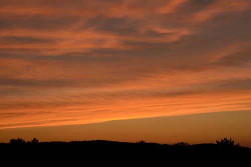 Free Beautiful orange sky at sunset with silhouettes of trees, capturing nature's serene moment. Stock Photo