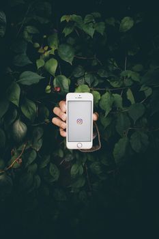 A hand holding a smartphone displaying the Instagram icon amid lush green leaves.