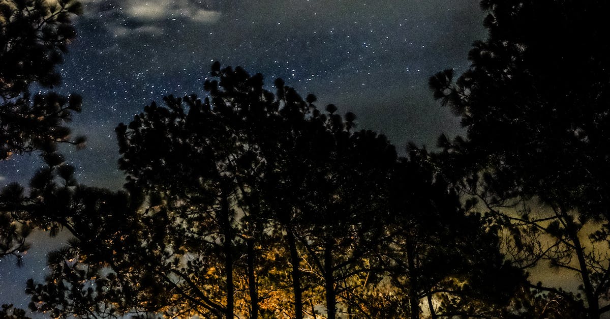 What level does slowpoke evolve in Pokémon sun and moon