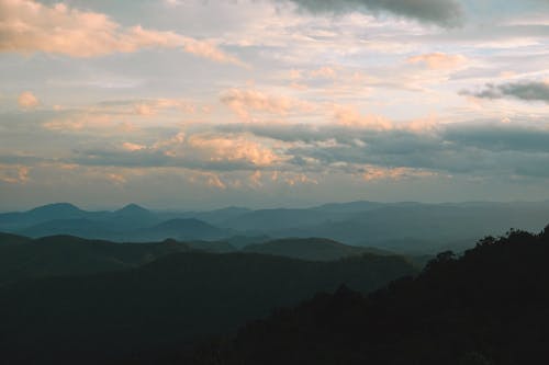 Fotos de stock gratuitas de árbol, capas, cielo