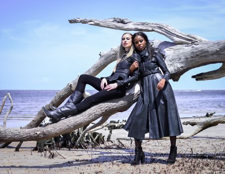 Two models pose in black leather outfits on a beach with driftwood and ocean backdrop.