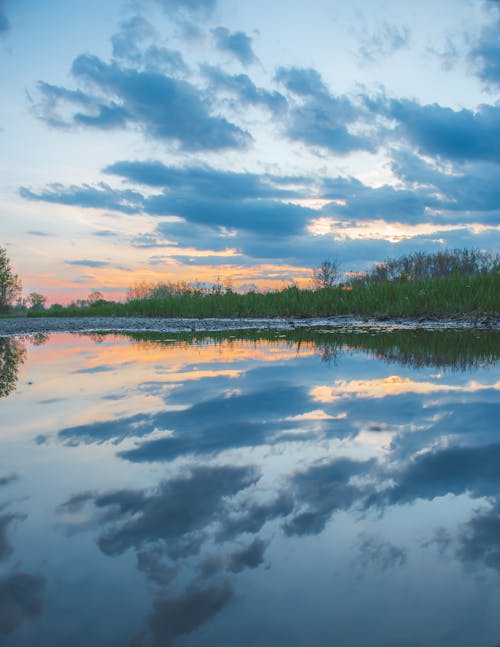 Kostenloses Stock Foto zu fluss, natur, reflektierung